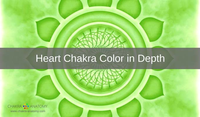 Chakra Anatomy