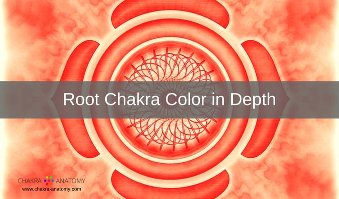 Chakra Anatomy