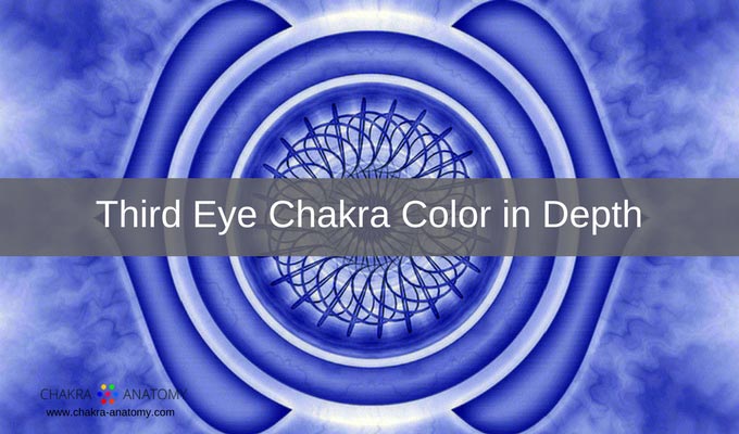 Chakra Anatomy