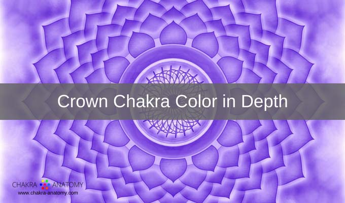 Chakra Anatomy