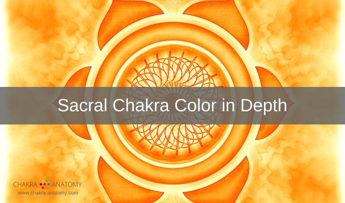 Chakra Anatomy