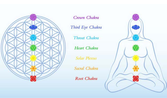 Chakra Anatomy