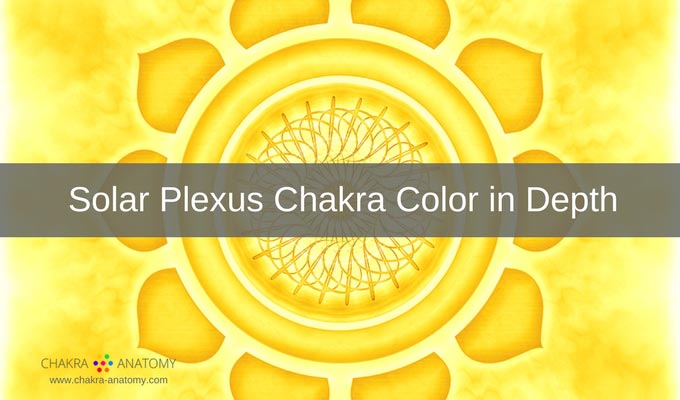 Chakra Anatomy