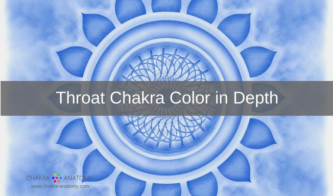 Chakra Anatomy